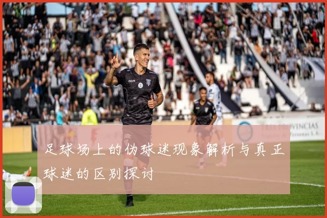 足球场上的伪球迷现象解析与真正球迷的区别探讨