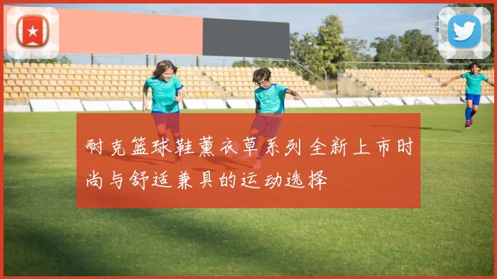 耐克篮球鞋薰衣草系列全新上市时尚与舒适兼具的运动选择