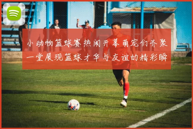 小动物篮球赛热闹开幕萌宠们齐聚一堂展现篮球才华与友谊的精彩瞬间