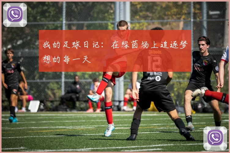 我的足球日记：在绿茵场上追逐梦想的每一天